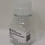 BSA in TBS Blocking Buffer [10X]