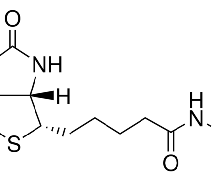 Biotin-LC-Hydrazide