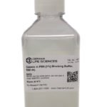 Casein in PBS [1%] Blocking Buffer