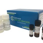 Caspase-1 Assay Kit Colorimetric