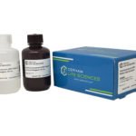 Chemiluminescent-HRP Western Blot Substrate