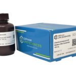 Chemiluminescent-AP Western Blot Substrate