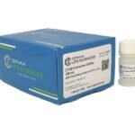 CTAB Extraction Buffer Kit