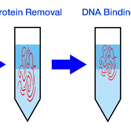 Genomic DNA Extraction Kit - Urine