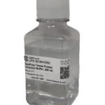 Tissue Protein Extraction Buffer