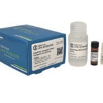 Universal Protein Extraction Kit with Protease Inhibitor Cocktail