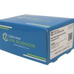 Bacterial Protein Extraction Kit with Lysozyme