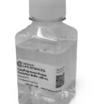 Insect Protein Extraction Buffer