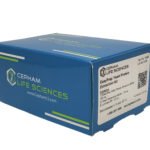 Yeast Protein Extraction Kit