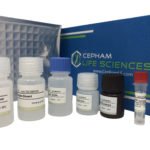 Sheep alpha-1-microglobulin/bikunin precursor (AMBP) ELISA kit