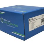 Genomic DNA Extraction Kit - Gram(+) Bacteria / Yeast / Fungi