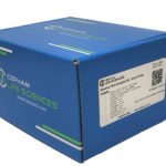Genomic DNA Extraction Kit - Soil