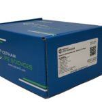 Genomic DNA Extraction Kit - Bacteria