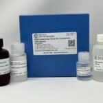 SRB Cytotoxicity Assay Kit, Colorimetric
