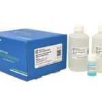 Micro BCA Protein Assay Kit