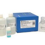 Micro Bicinchoninic Acid (BCA) Protein Assay with BSA Protein Standard