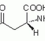 N-Methyl-D-Aspartic Acid