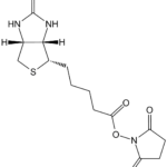 NHS-Biotin