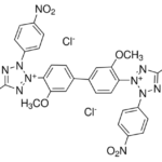 Nitrotetrazolium blue chloride