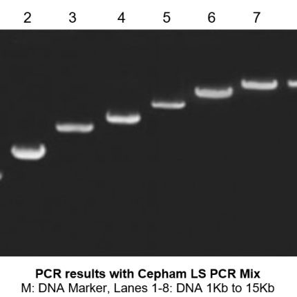 Taq DNA polymerase with Buffers and dNTPs (2.5 mM each)