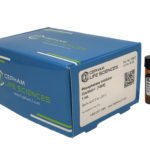 Phosphatase Inhibitor Cocktail- I [100X]