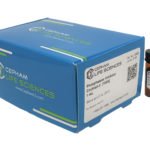 Phosphatase Inhibitor Cocktail-II [100X]