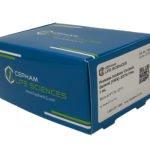 Protease Inhibitor Cocktail [100X], General-EDTA Free