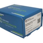 Protease Inhibitor Cocktail [100X], Plant