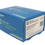 Protease Inhibitor Cocktail [100X], Yeast / Fungi