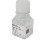 Sodium azide Solution, 1%
