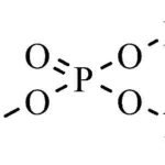 Sodium phosphate dibasic (Na2HPO4)