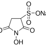 Sulfo NHS (N-Hydroxysulfosuccinimide)