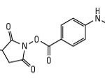 Sulfo SIAB (N-(Sulfosuccinimidyl(4-iodoacetyl)Aminobenzoate))