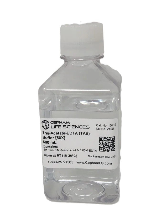 TAE-buffer-50x-500-mL-2-scaled-700x933