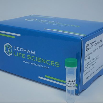 Antibodies - Cepham