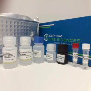 Human Cystatin C,Cys-C ELISA Kit - Cepham Life Sciences Research Products