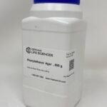 Phenylethanol Agar