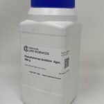 Pseudomonas Isolation Agar
