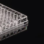 96 Well Cell Culture Plate, flat, TC, sterile, Bulk, 10/pk, 100/cs