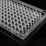96 Well Cell Culture Plate, U-bottom, TC, sterile 1/pk, 100/cs