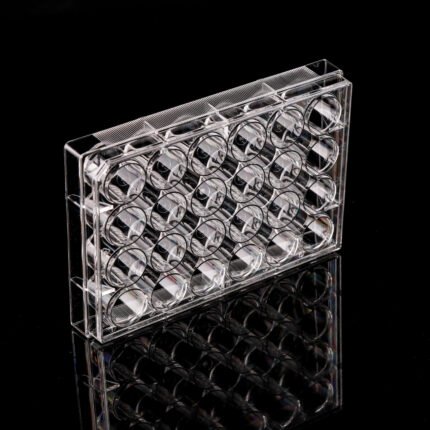 thumbnail image 2 of 6 Well Tissue Plate 96 Well Cell Culture Plate With Tissue Culture TC Treated For Lab U Bottom Individual Packaging Sterile Pill Capsules Filling Tray 2 of 12