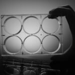 6 Well Cell Culture Plate, flat, TC, sterile, Bulk, 10/pk, 50/cs