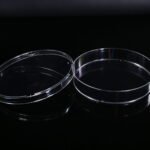 100mm Cell Culture Dish, TC, sterile 5/bag, 300/cs