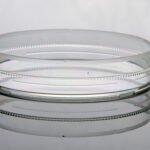 100mm Cell Culture Dish, with Gripping Ring, TC, Sterile 20/bag, 300/cs