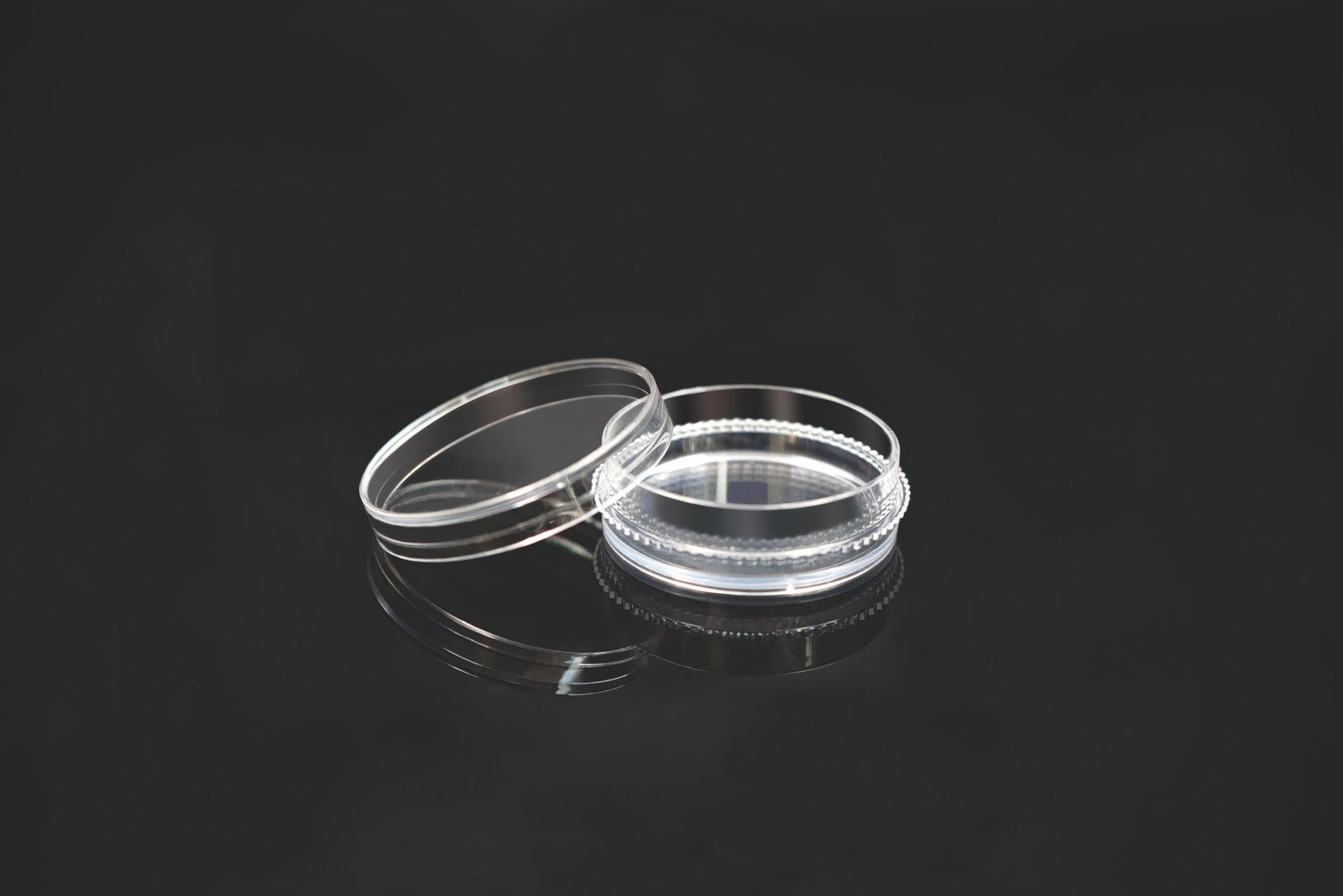 706201-scaled-1.jpg 35mm Cell Culture Dish, with Gripping Ring, TC, Sterile, 20/pk, 500/cs - Image 1