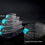 75cm2 Cell Culture Flask, Vent Cap, Non-Treated, sterile, Maximum Working Volume 250mL, 5/pk, 100/cs