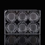6 Cell Culture Inserts+6 Well Plate, 0.8 ?m, PET Membrane, TC, Sterile, 6/pk, 60/cs