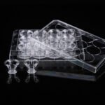 12 Cell Culture Inserts+12 Well Plate, 8 ?m, PC Membrane, Non-Treated, Sterile, 12/pk, 120/cs
