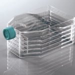 5-Layer Cell Culture Flask, Vent Cap,  Straight Neck, TC, sterile 1/pk, 8/cs