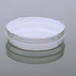 100 x 20 mm Petri Dish, Sterile, 20/pk, 300/cs